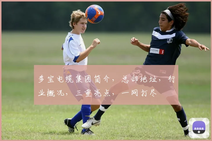 多宝电缆集团简介，总部地址，行业概况，三重亮点，一网打尽
