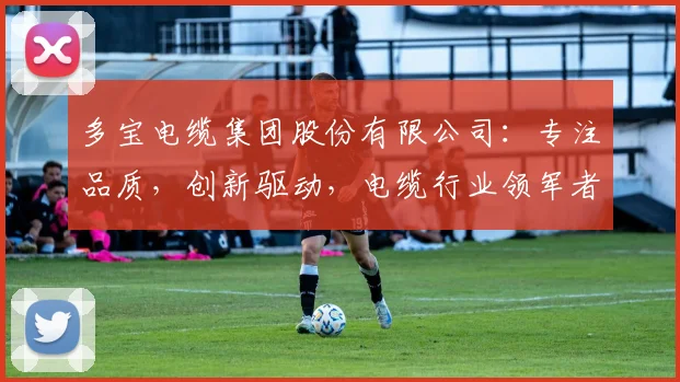 多宝电缆集团股份有限公司：专注品质，创新驱动，电缆行业领军者，助力智慧城市构建三步曲