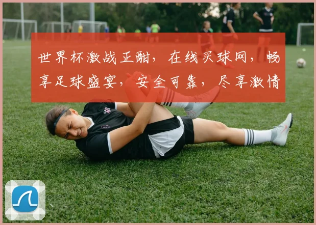 世界杯激战正酣，在线买球网，畅享足球盛宴，安全可靠，尽享激情